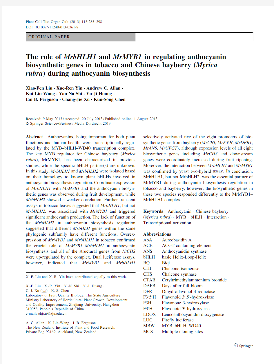 The role of MrbHLH1 and MrMYB1 in regulating anthocyaninAS