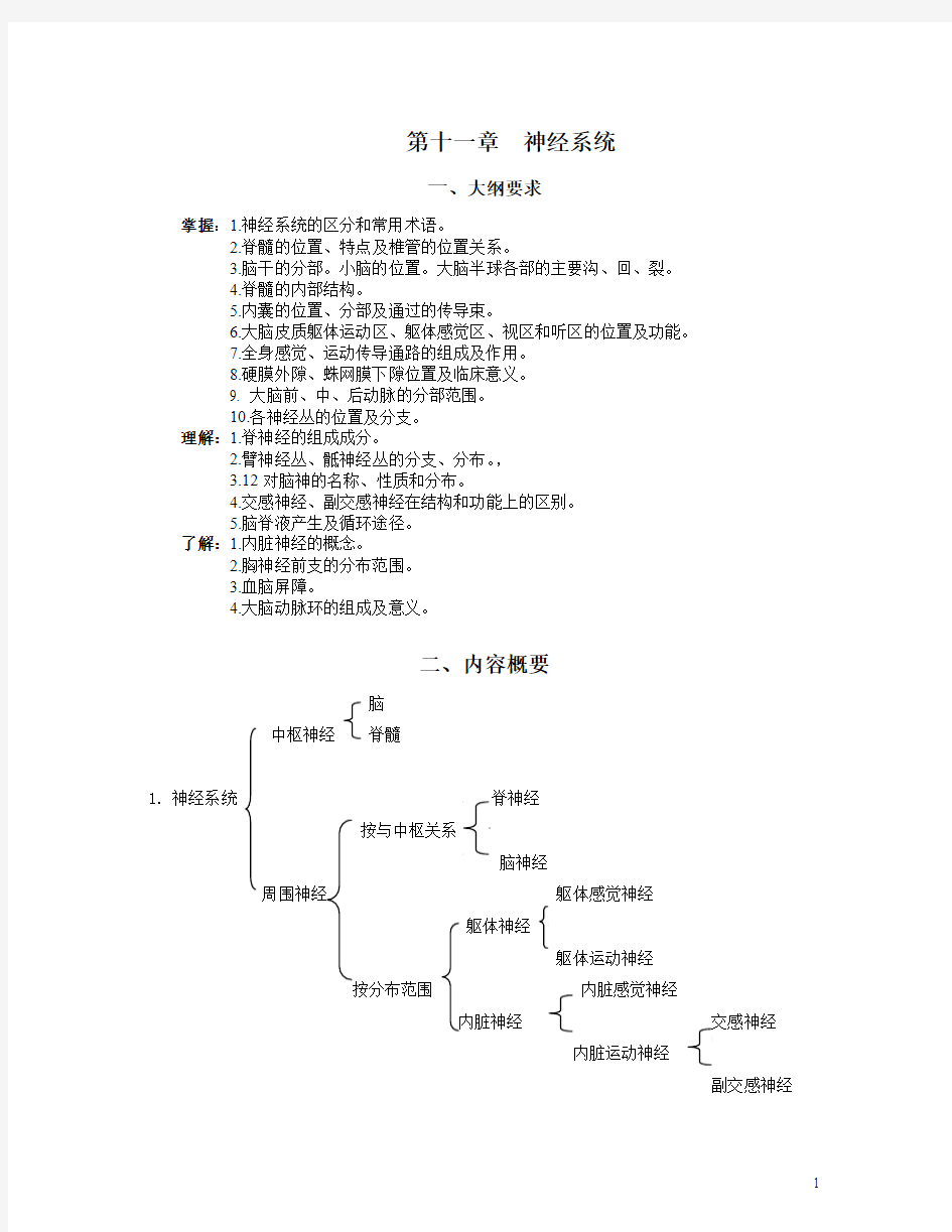 第十一章 神经系统