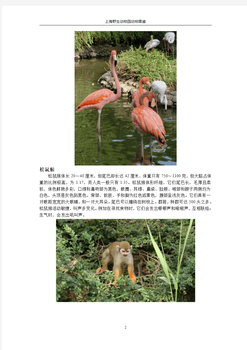 上海野生动物园 动物介绍
