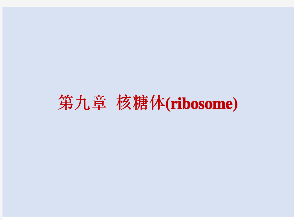 第九章 核糖体(ribosome)