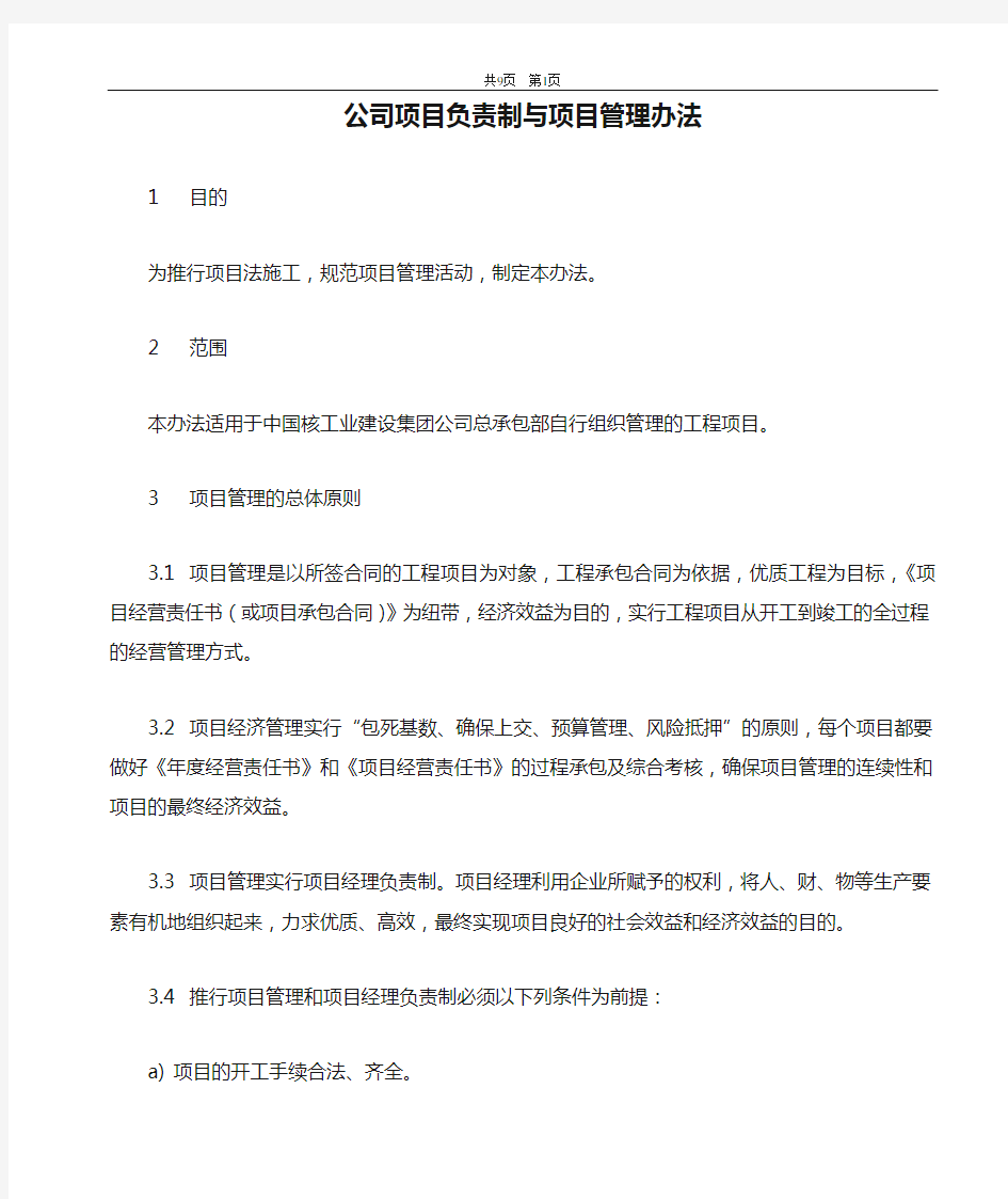 公司项目负责制与项目管理办法