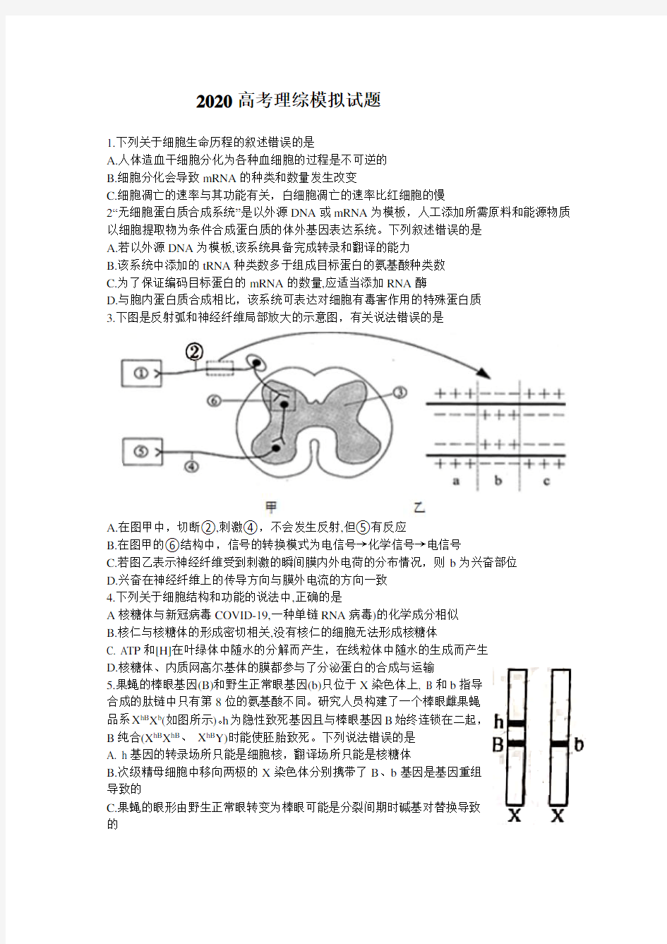 2020高考理综模拟试题