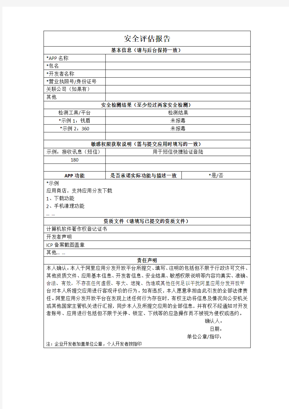 安全评估报告模版