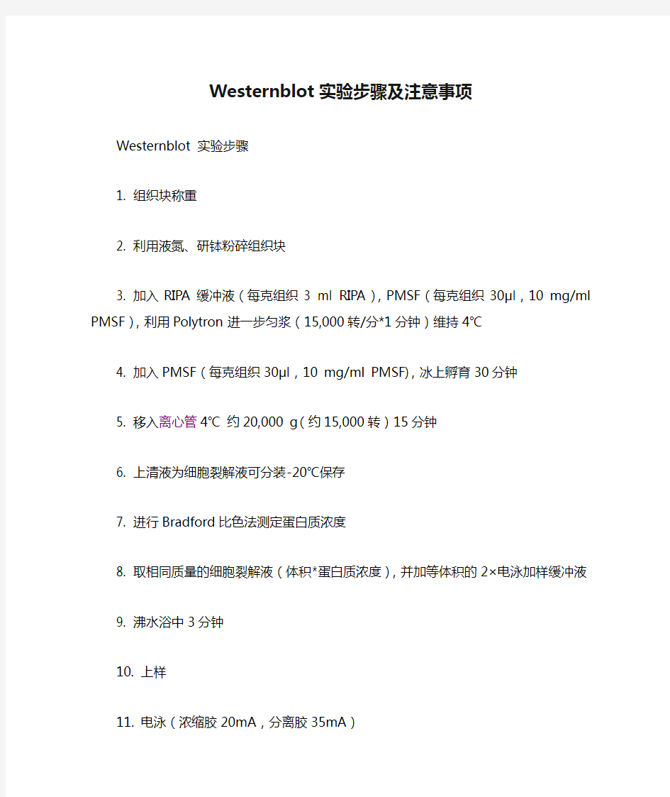 Westernblot实验步骤及注意事项1(精)