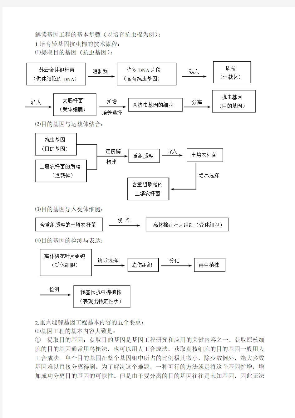 基因工程的基本步骤