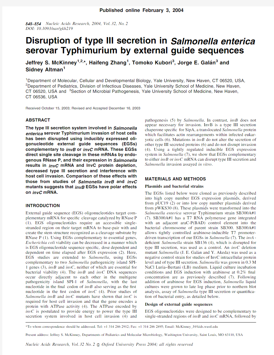 Disruption of type III secretion in Salmonella enterica serovar Typhimurium by external gui