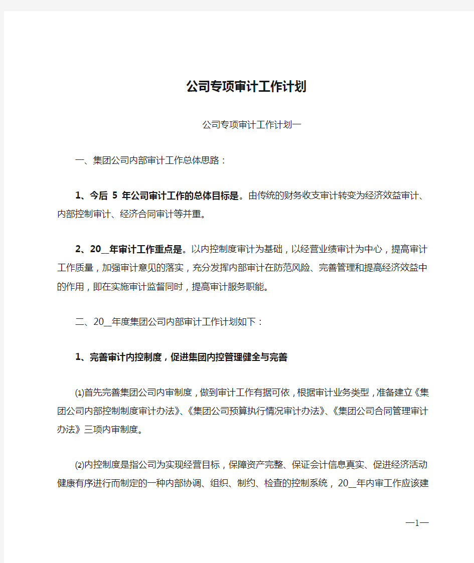 公司专项审计工作计划