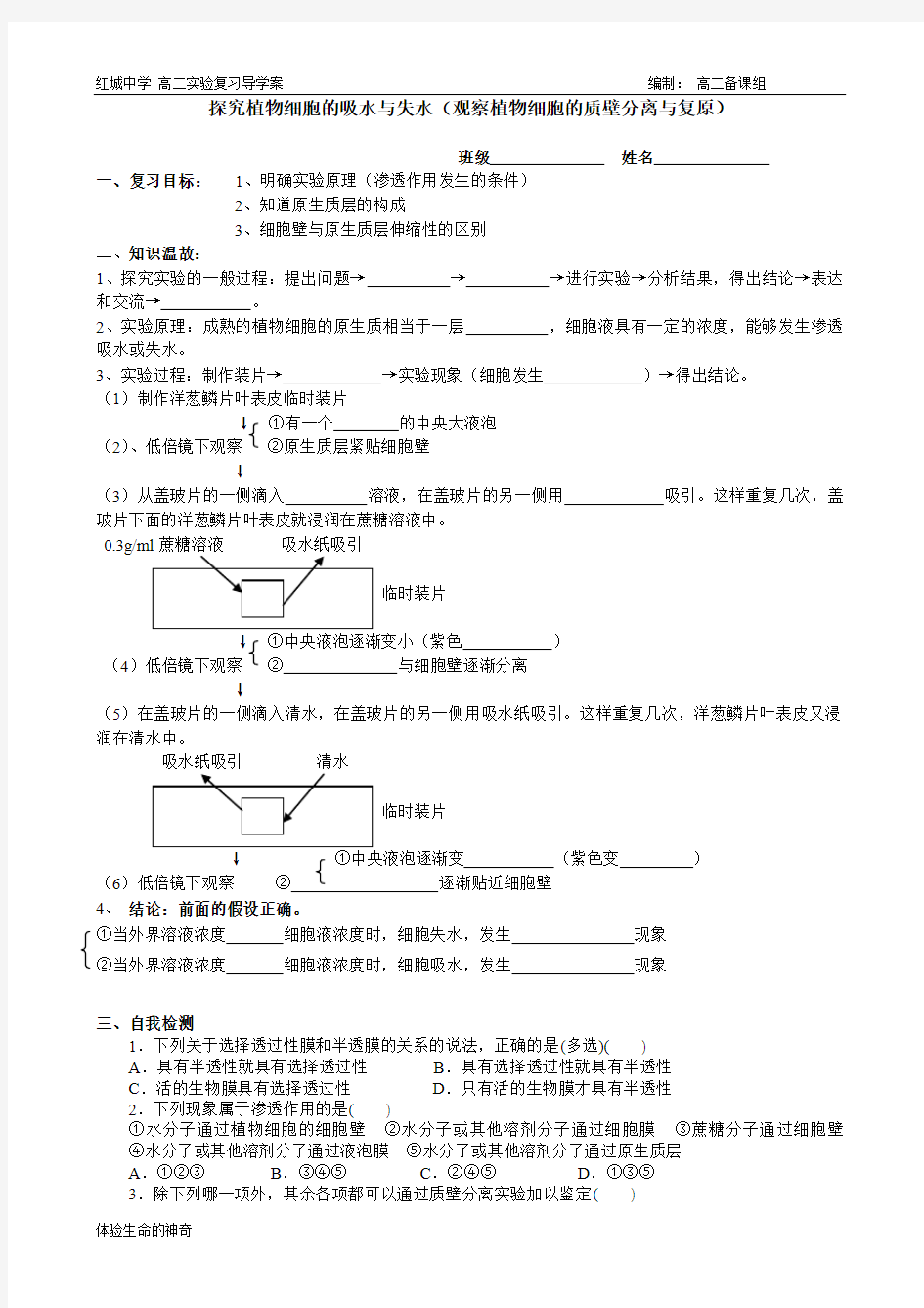 探究植物细胞的吸水与失水