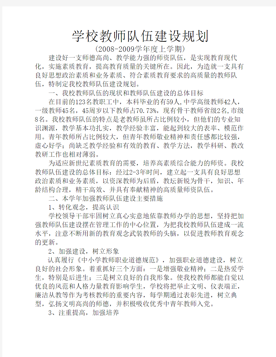 学校教师队伍建设规划