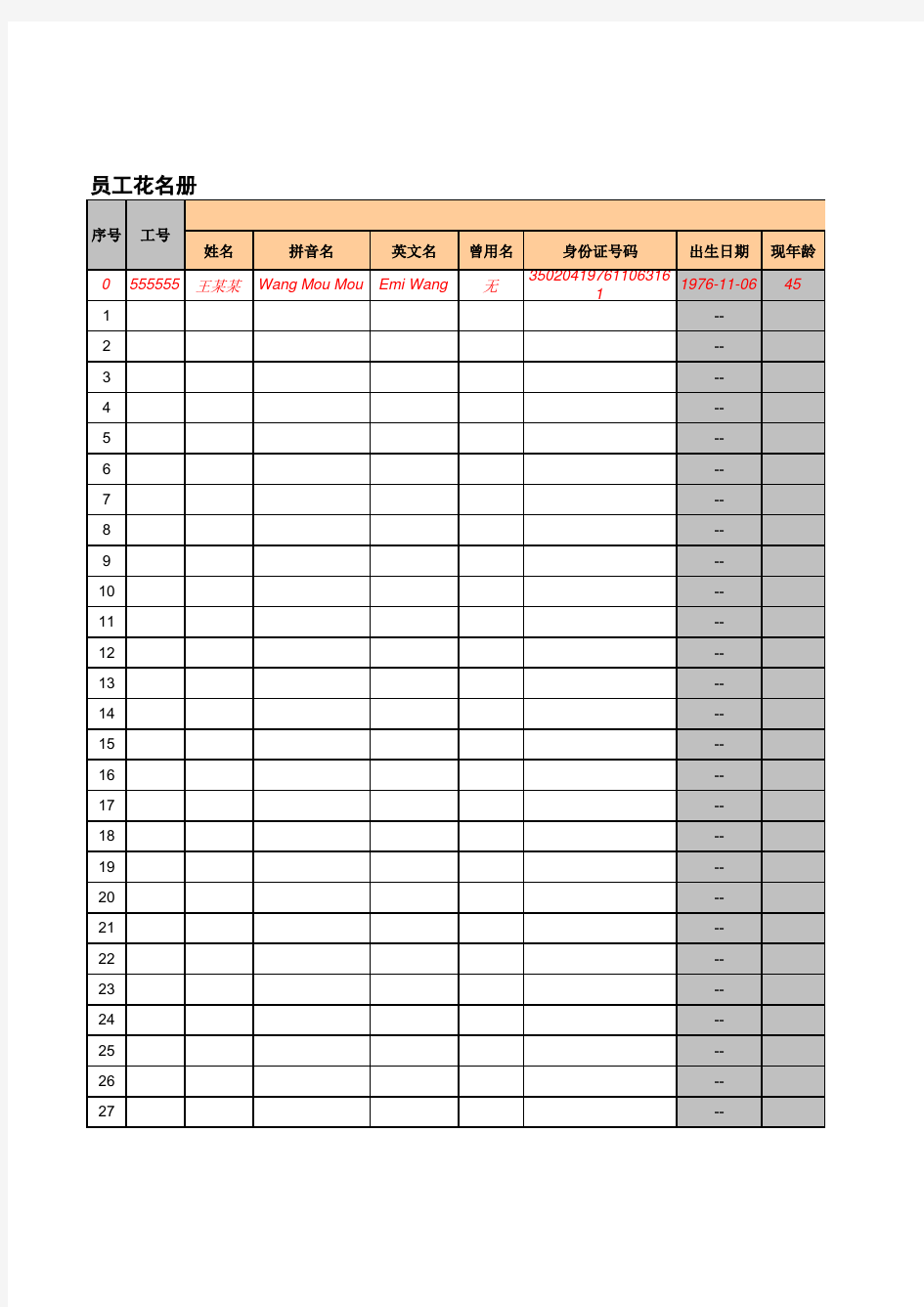 个人身份信息Excel表格模板