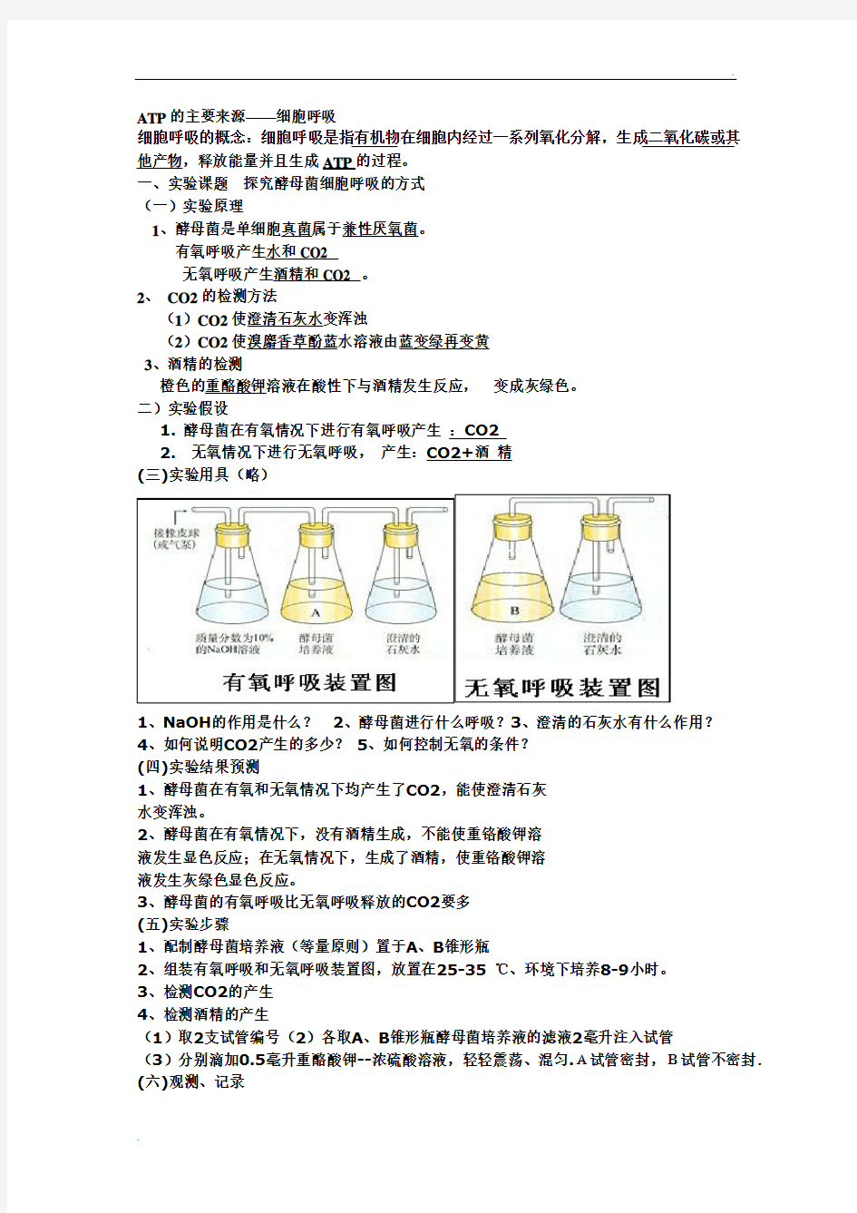 光合作用和呼吸作用知识点总结.