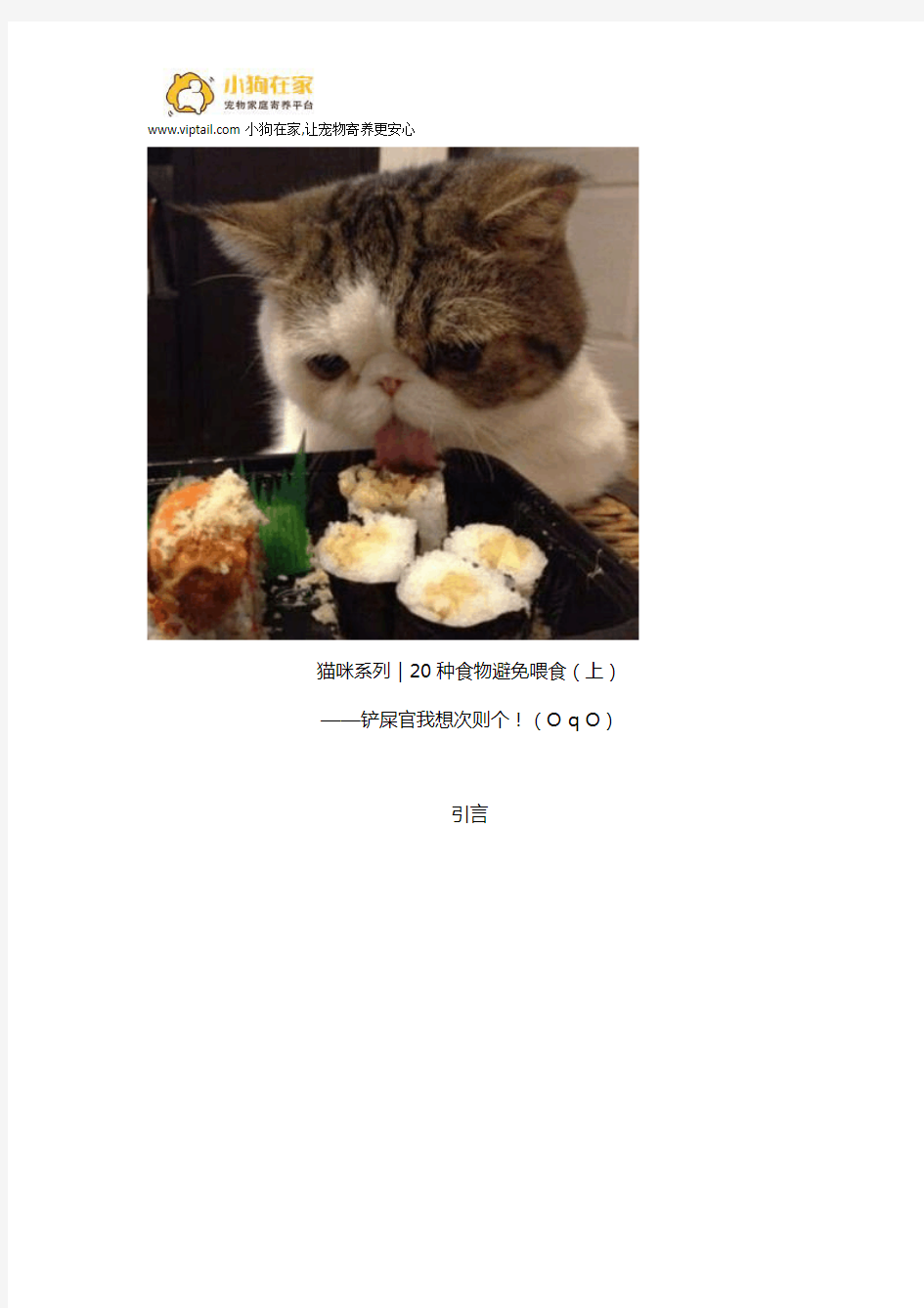 猫咪系列｜20种食物避免喂食(上)