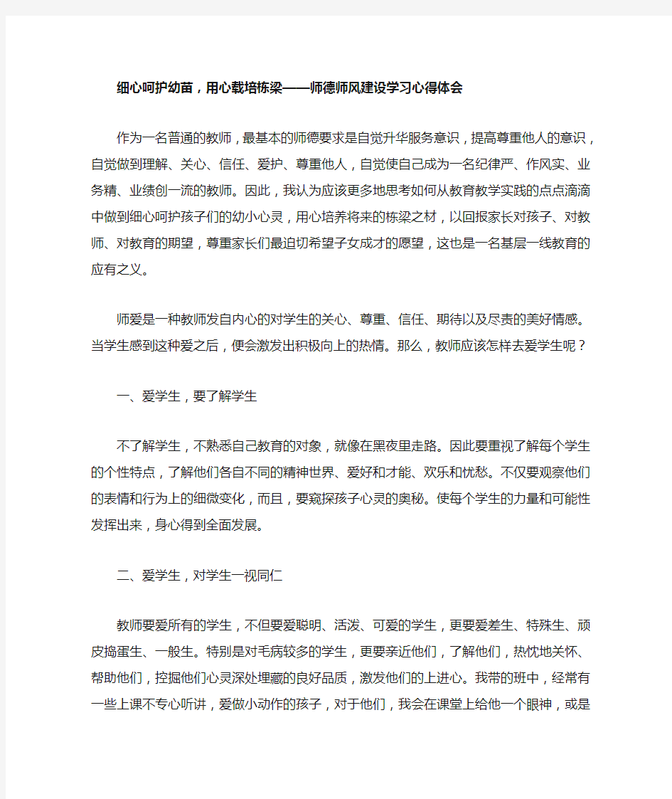 细心呵护幼苗,用心载培栋梁——师德师风建设学习心得体会