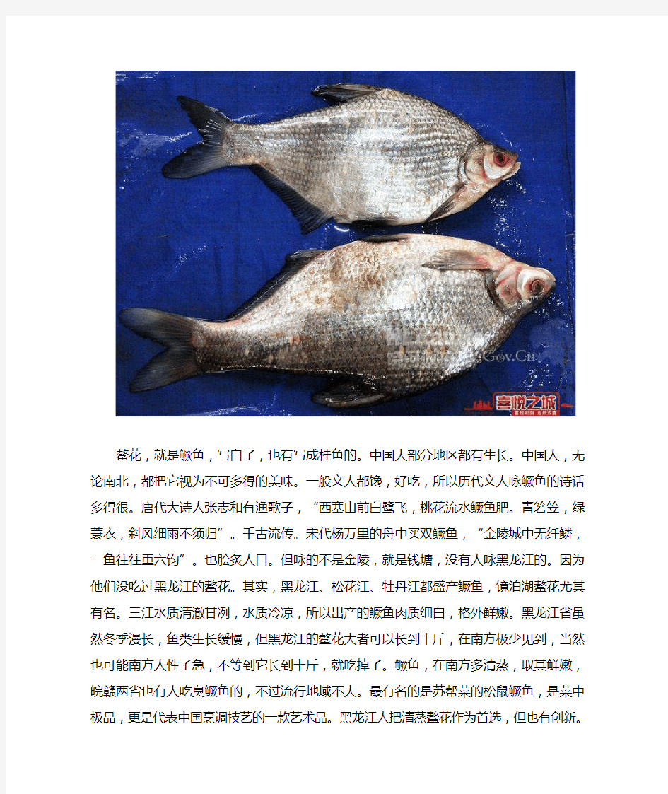 松花江的名鱼——“三花五罗十八子七十二杂鱼”,你吃过几个!