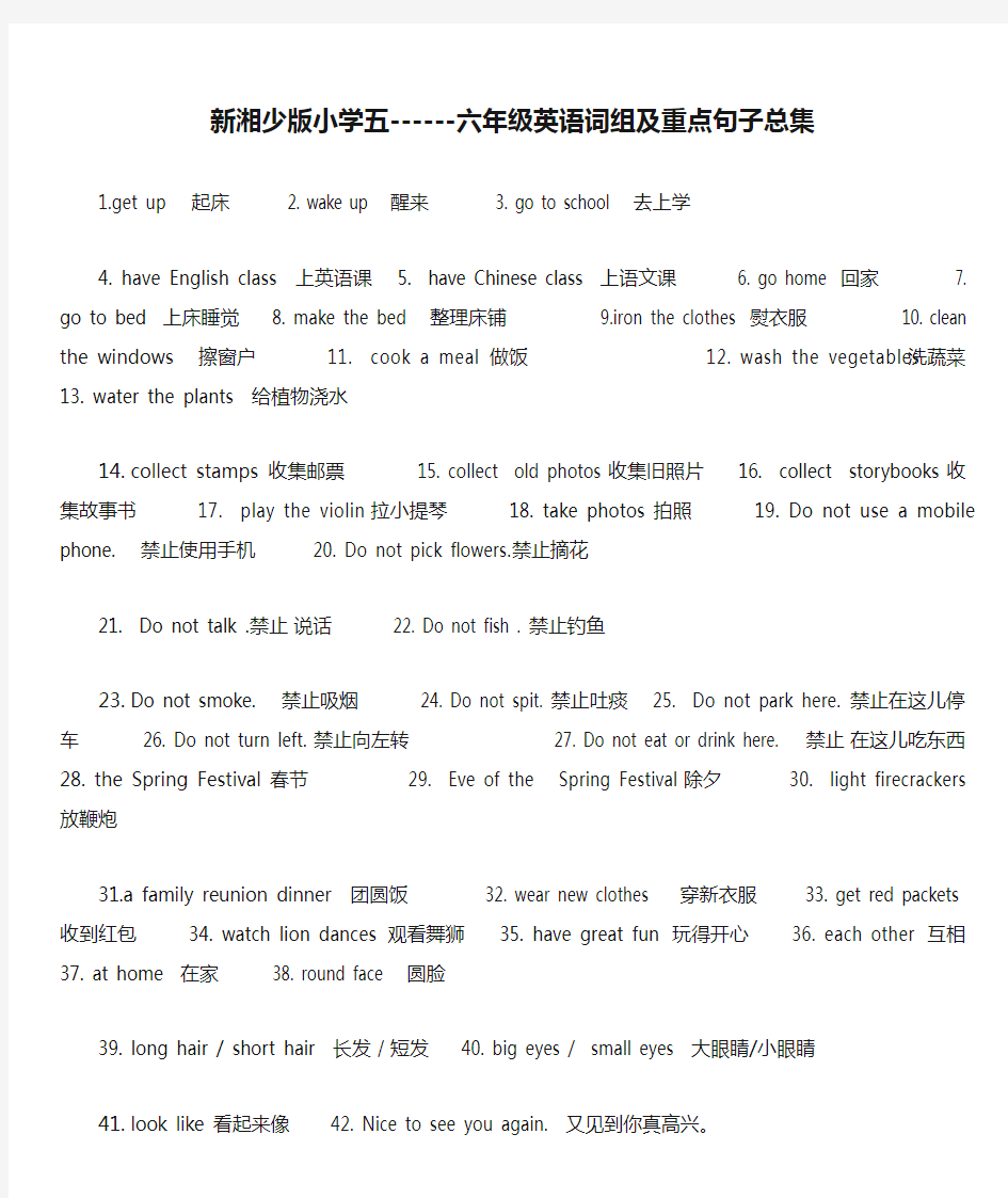 新湘少版小学五------六年级英语词组及重点句子总集