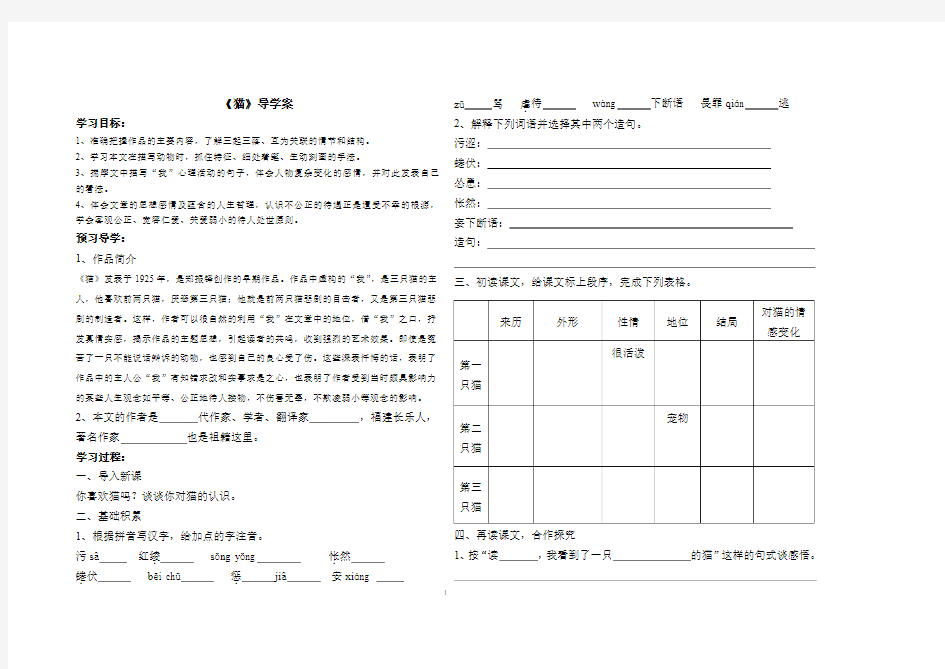 猫导学案