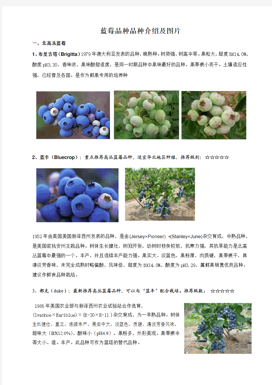 蓝莓品种品种介绍及图片(一)