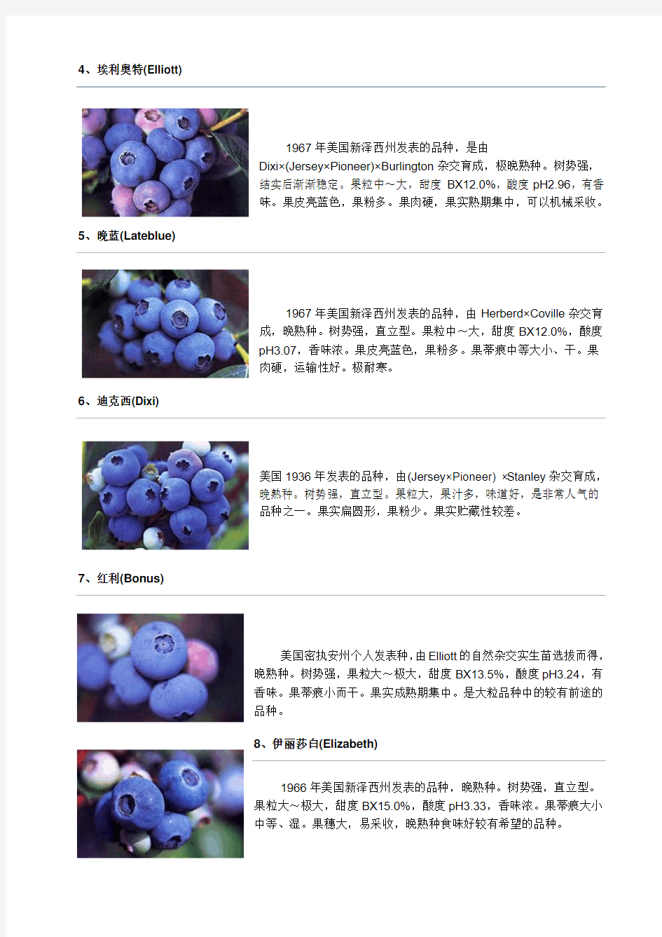 蓝莓品种品种介绍及图片(一)
