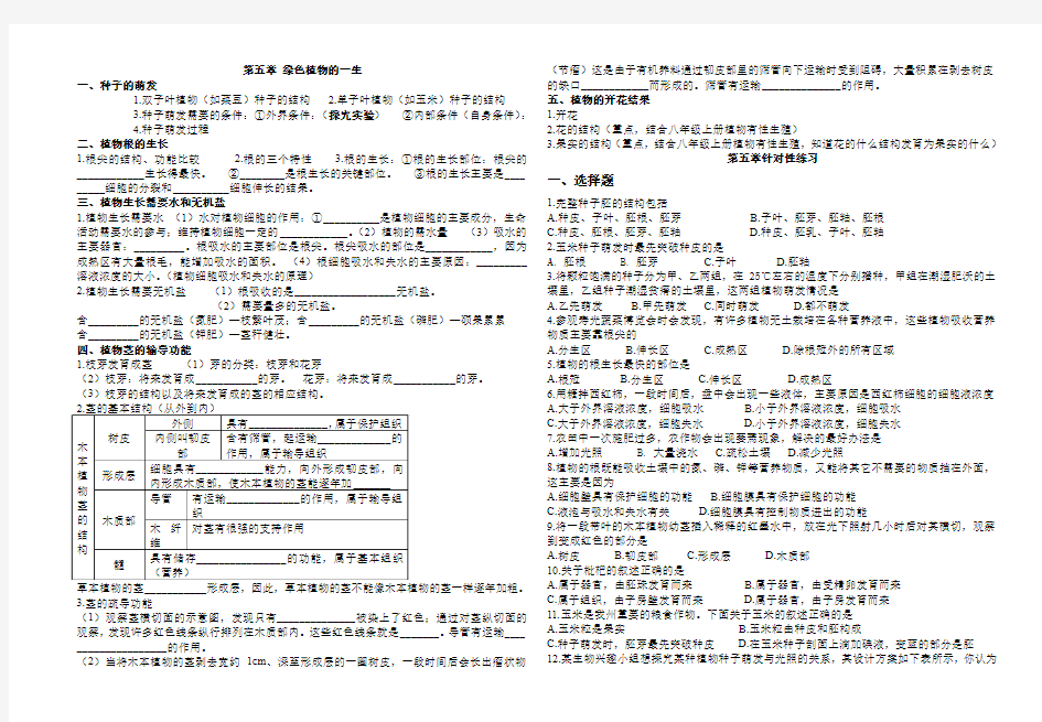 第五章 绿色植物的一生知识点梳理与强化