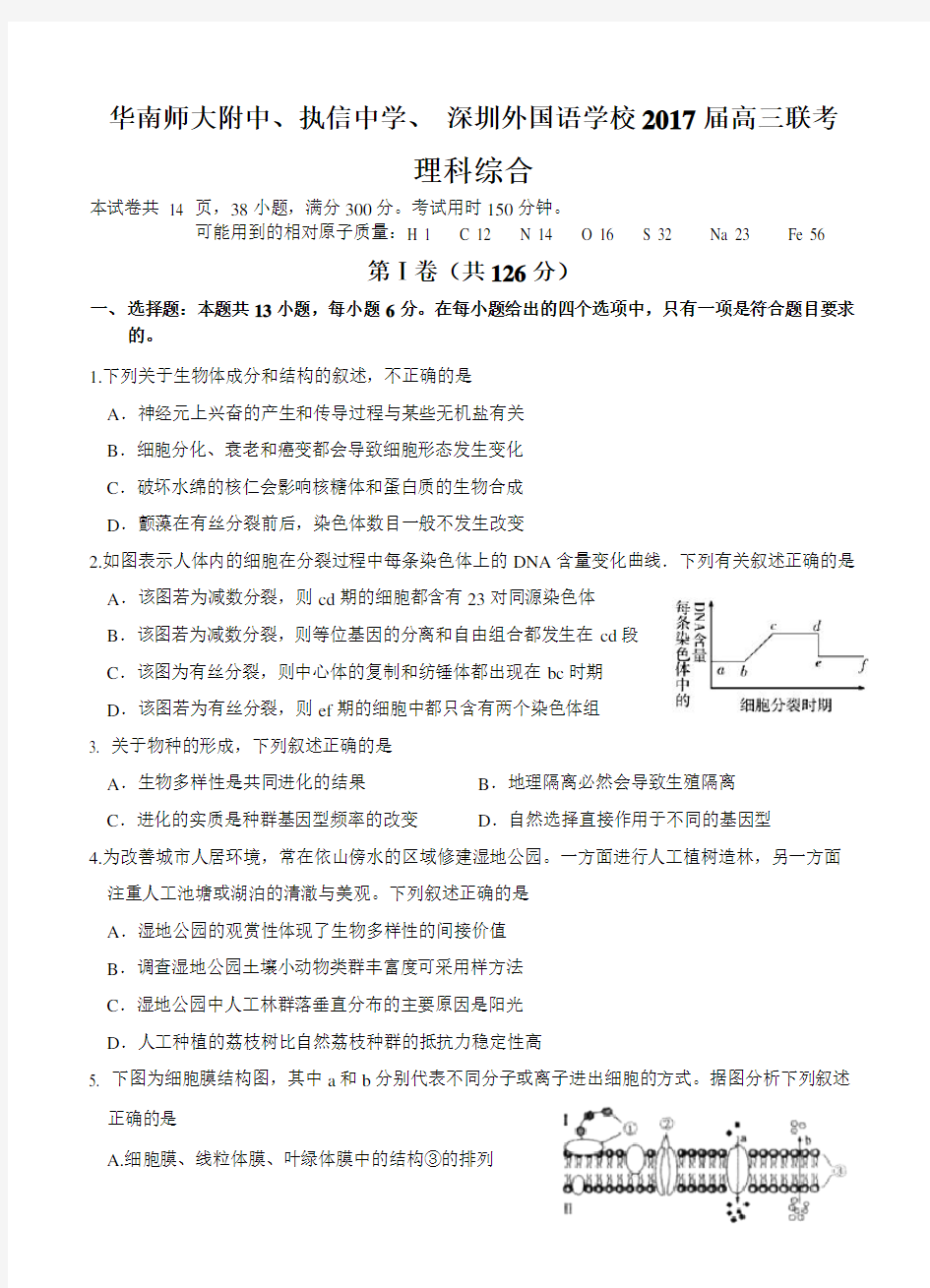 广东省华附、执信、深外2017届高三联考理综试题及答案