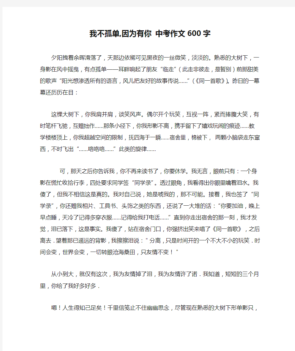 我不孤单,因为有你 中考作文600字