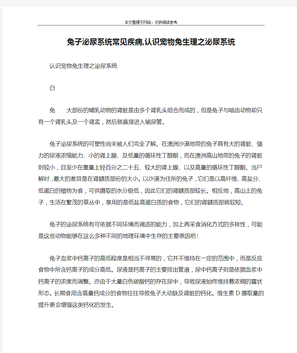 兔子泌尿系统常见疾病,认识宠物兔生理之泌尿系统