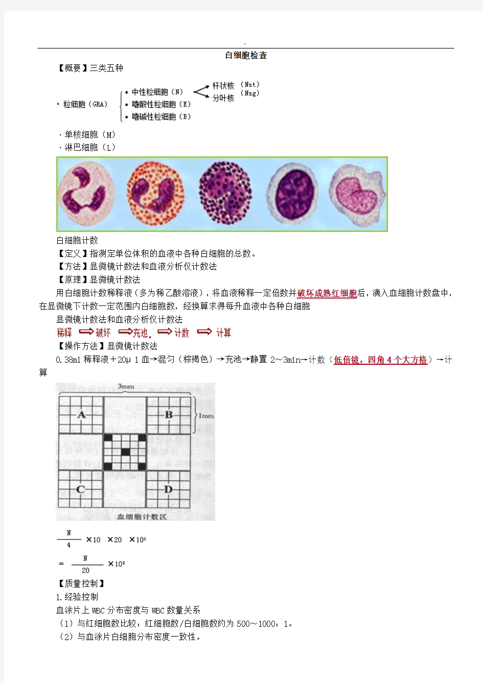 检验基础之白细胞检查