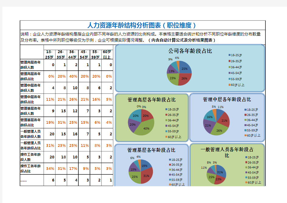 人力资源年龄结构分析图表