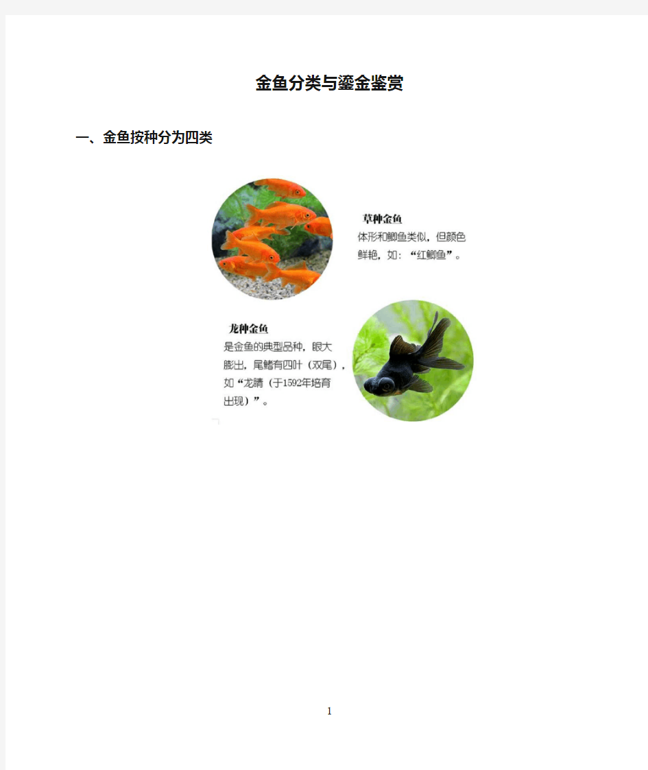 金鱼分类与鎏金鉴赏(王先生整理)(新)