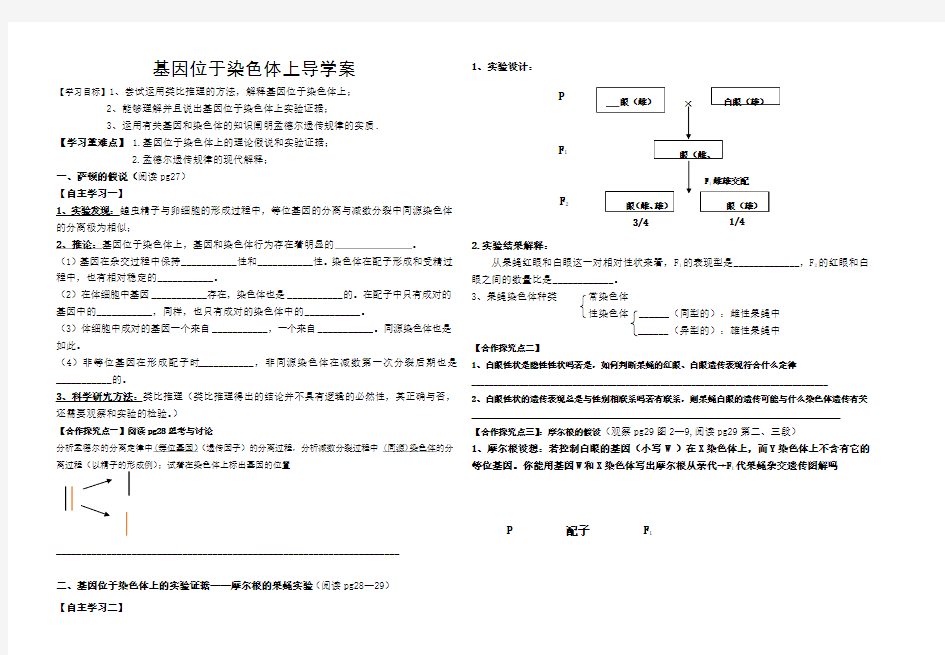 基因位于染色体上导学案高效课堂