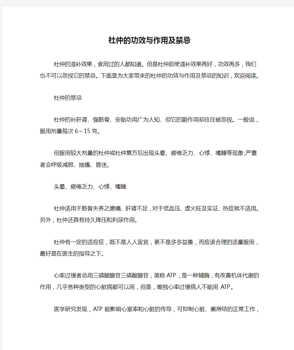 杜仲的功效与作用及禁忌