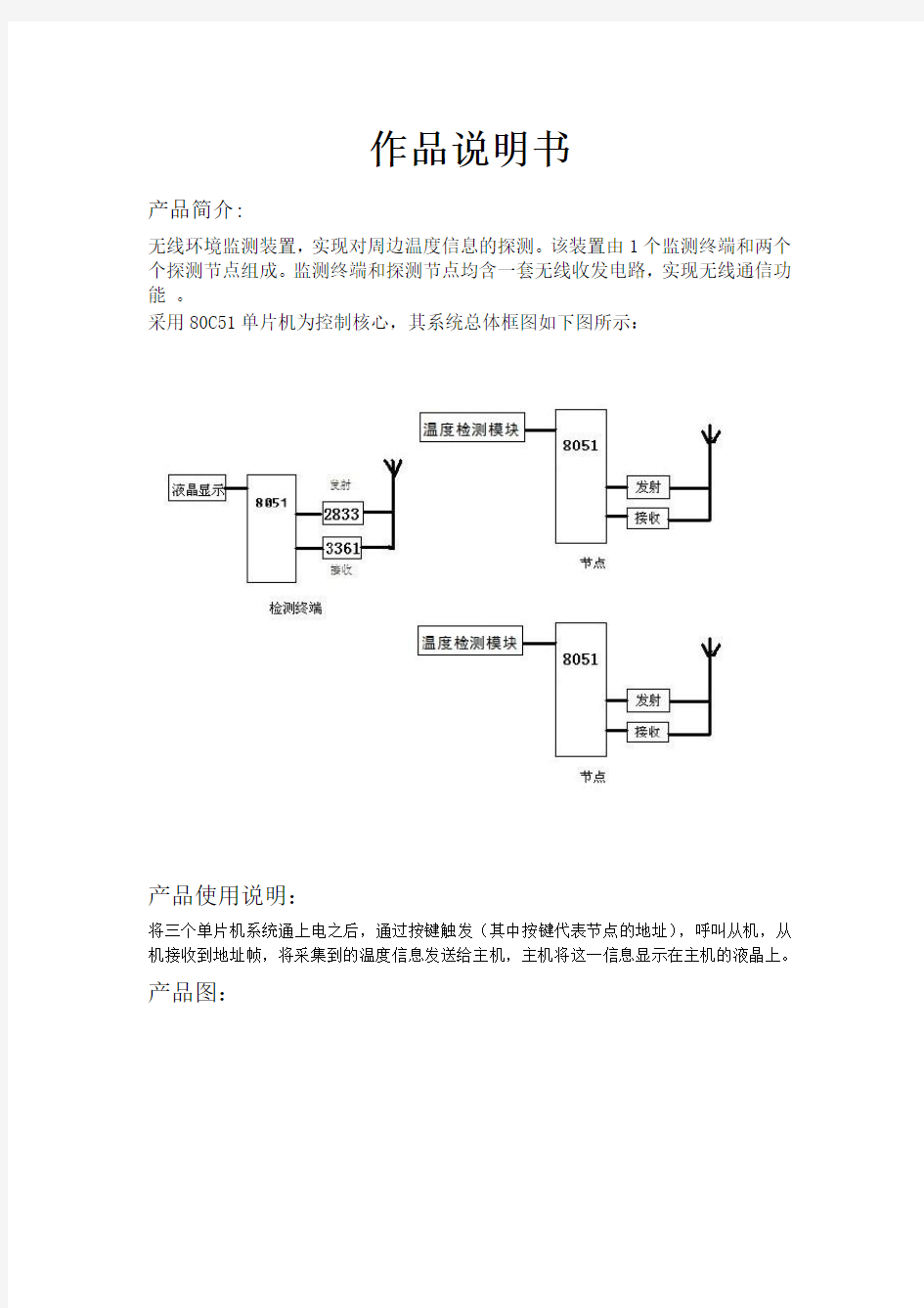 作品说明书模板示例