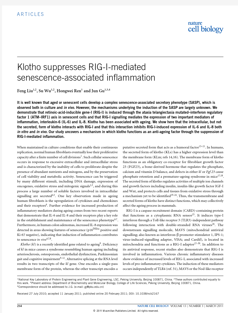 Klotho suppresses RIG-I-mediated senescence-associated inflammation