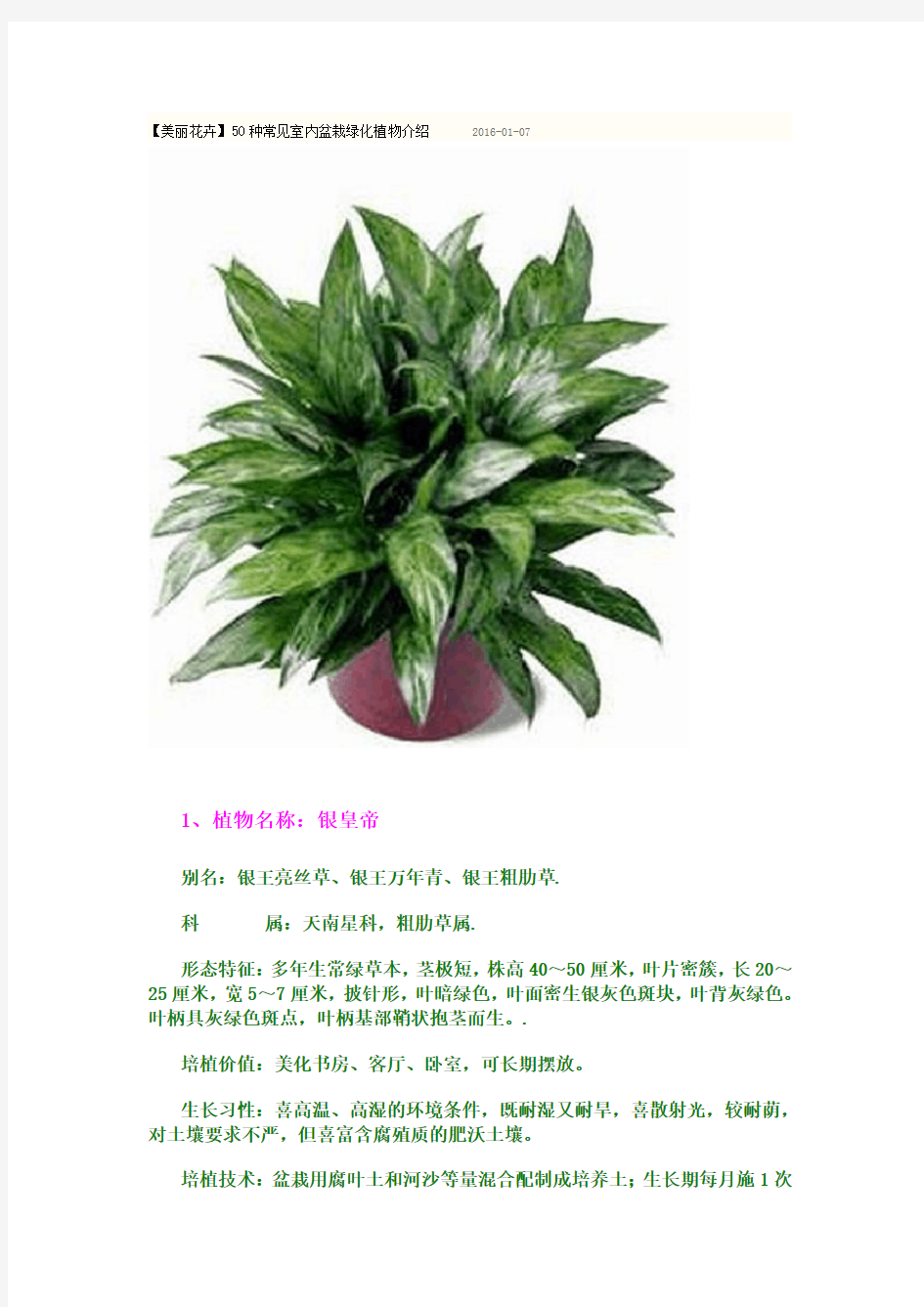 50种常见室内盆栽绿化植物