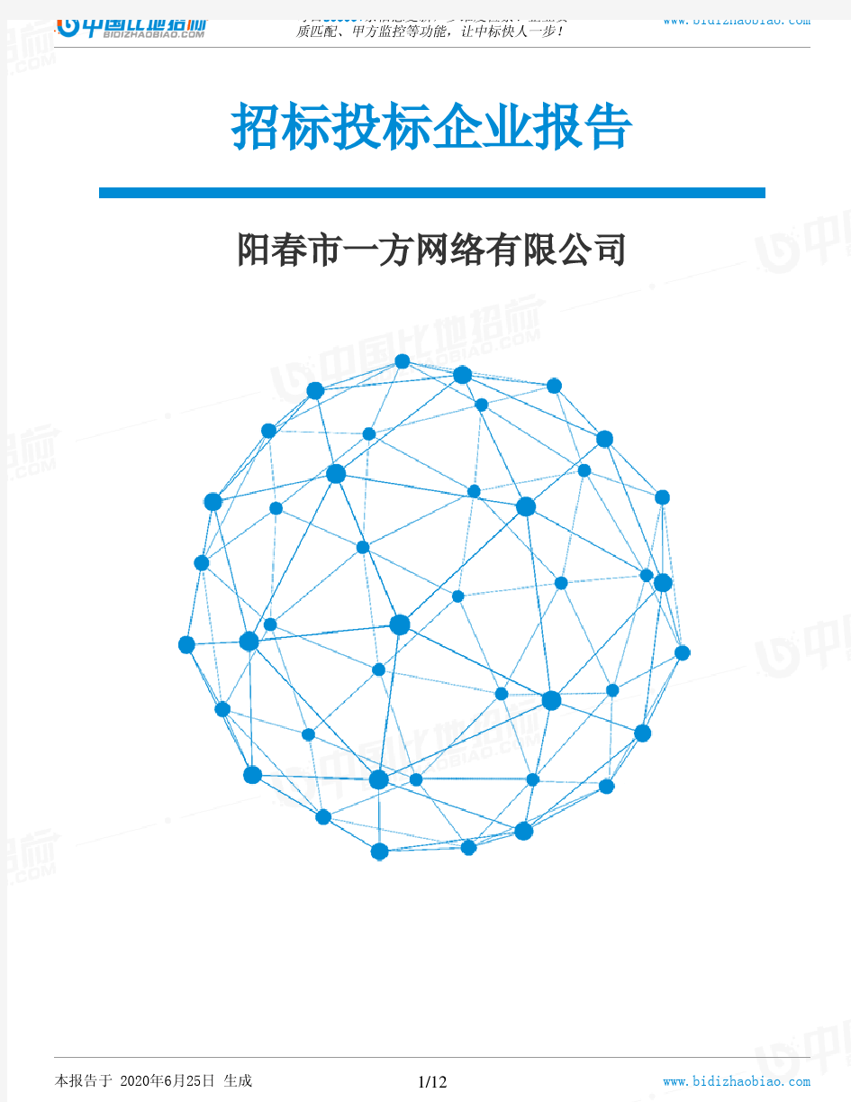 阳春市一方网络有限公司-招投标数据分析报告
