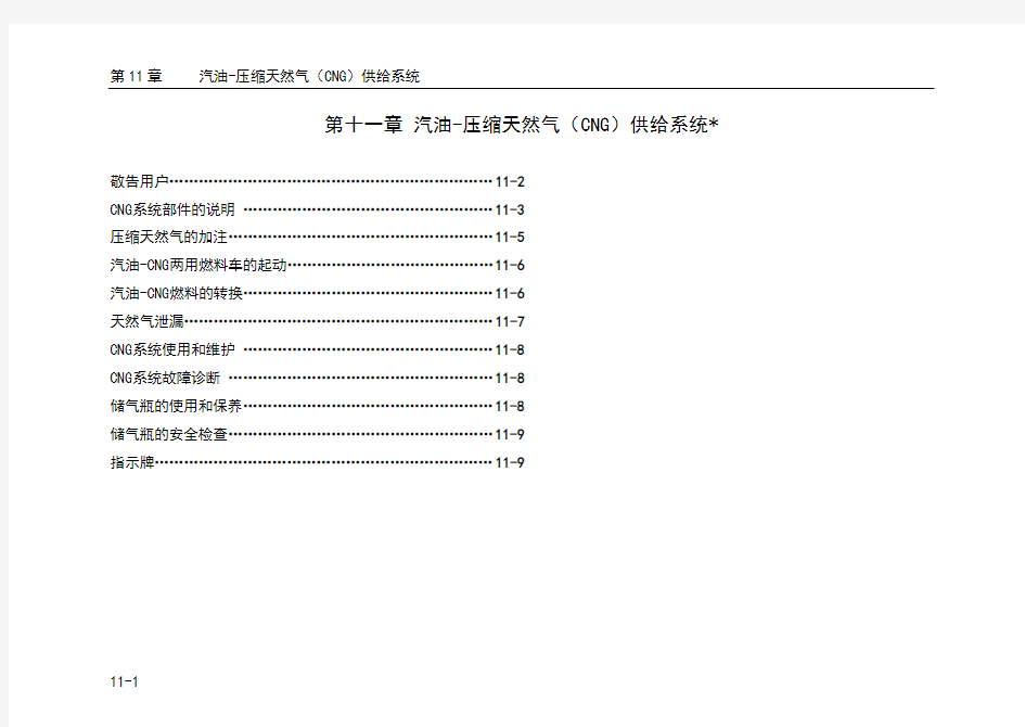 压缩天然气CNG