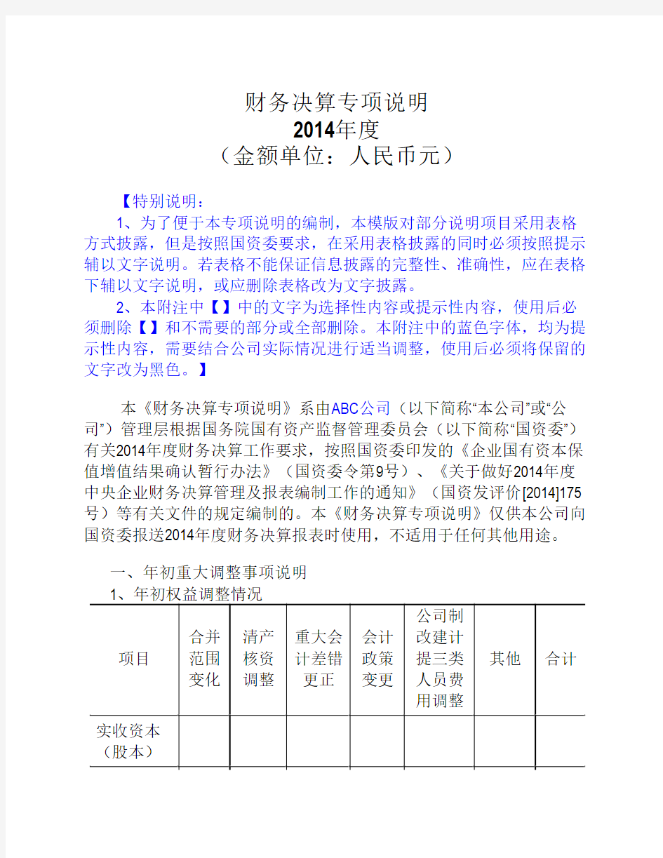 4、财务专项说明-正文-