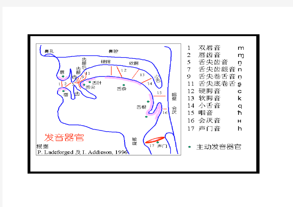 元 音 舌 位 图