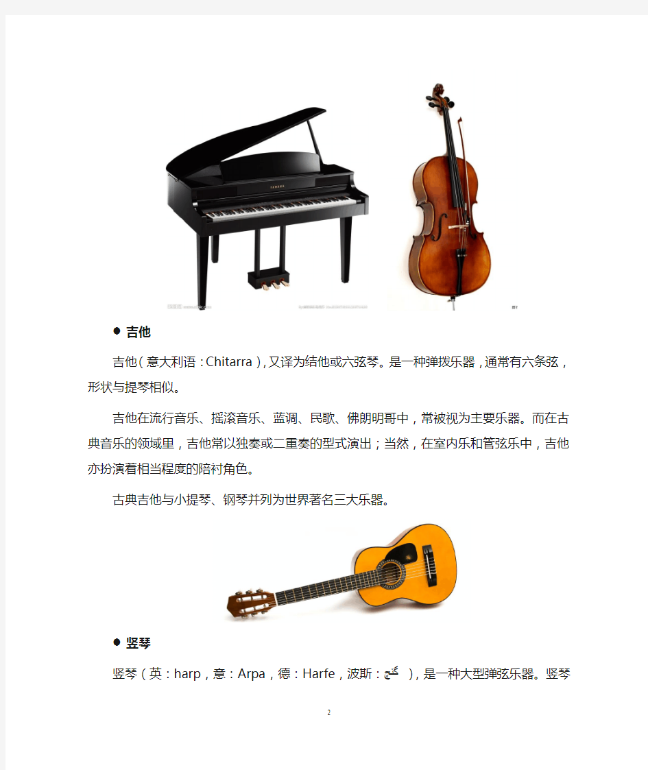 小学生音乐作业-常用乐器介绍