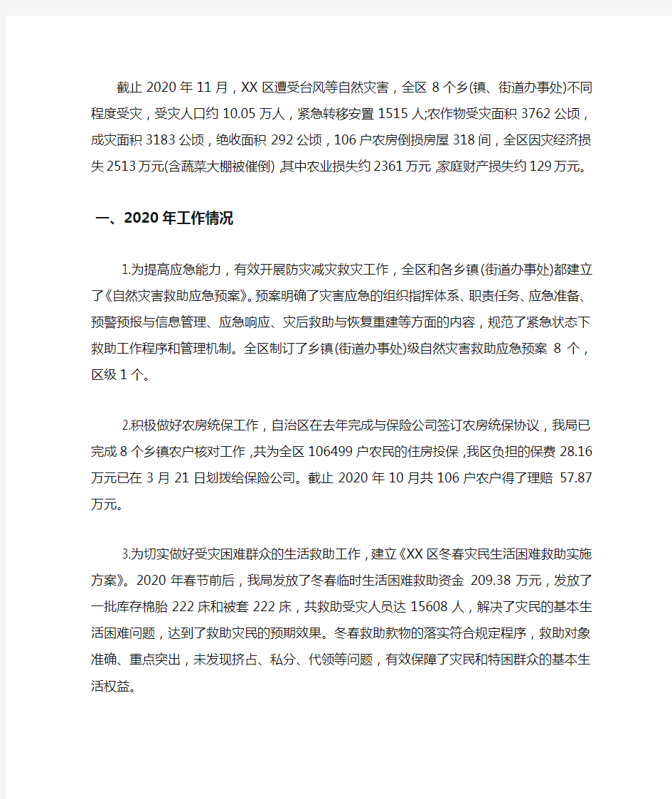 2020年减灾救灾工作总结及2020年工作计划.docx