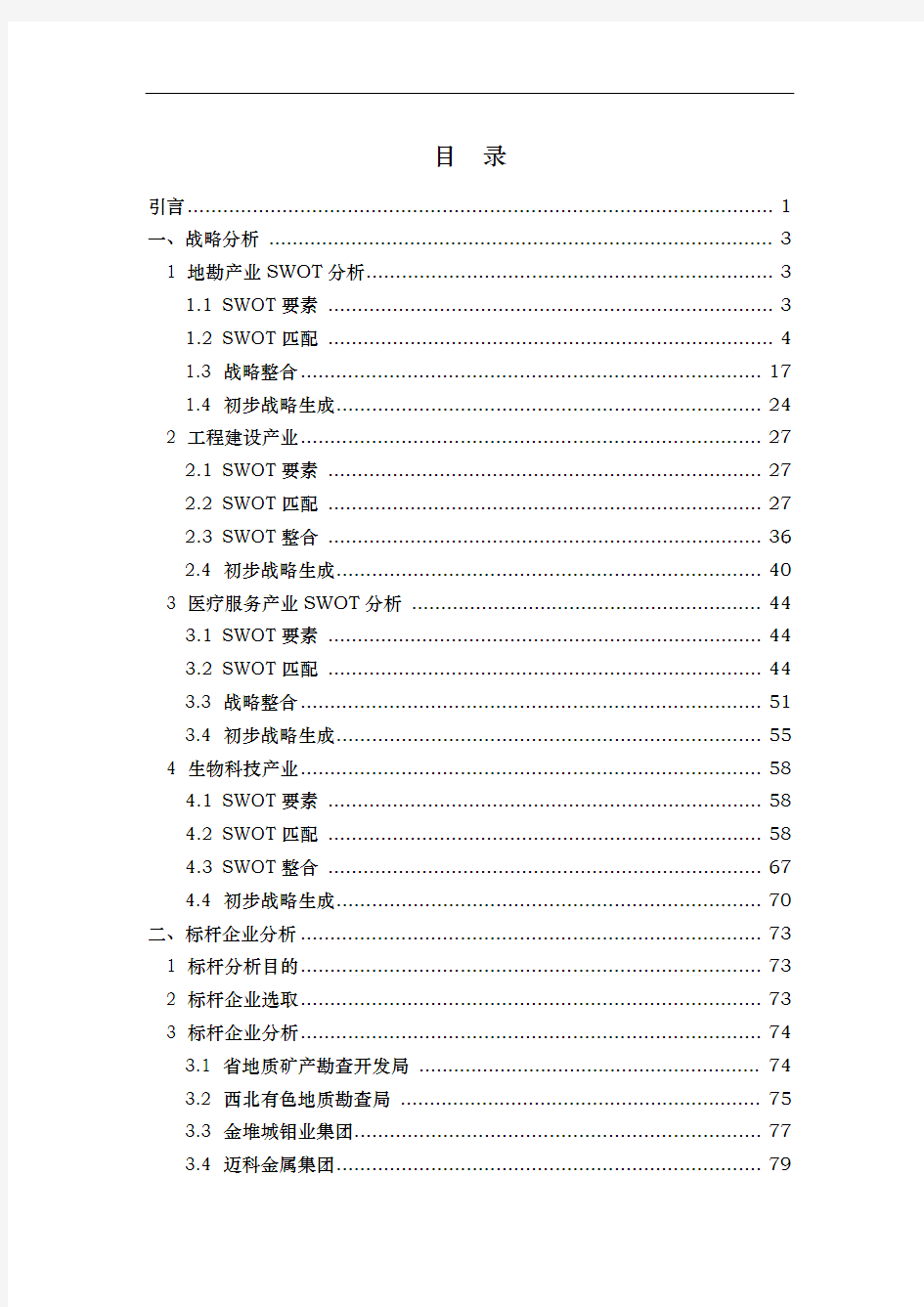 集团公司战略规划报告