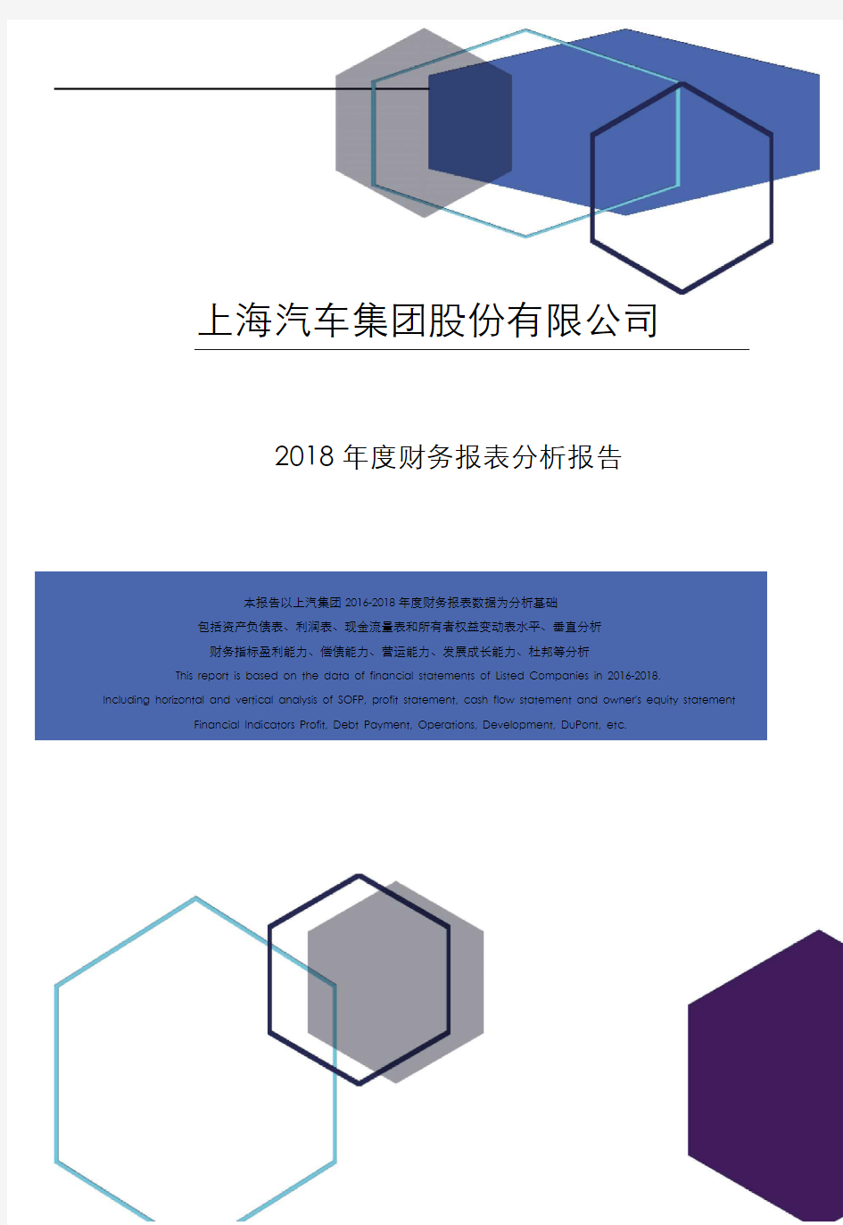 上海汽车集团股份有限公司2018年度财务报表分析报告