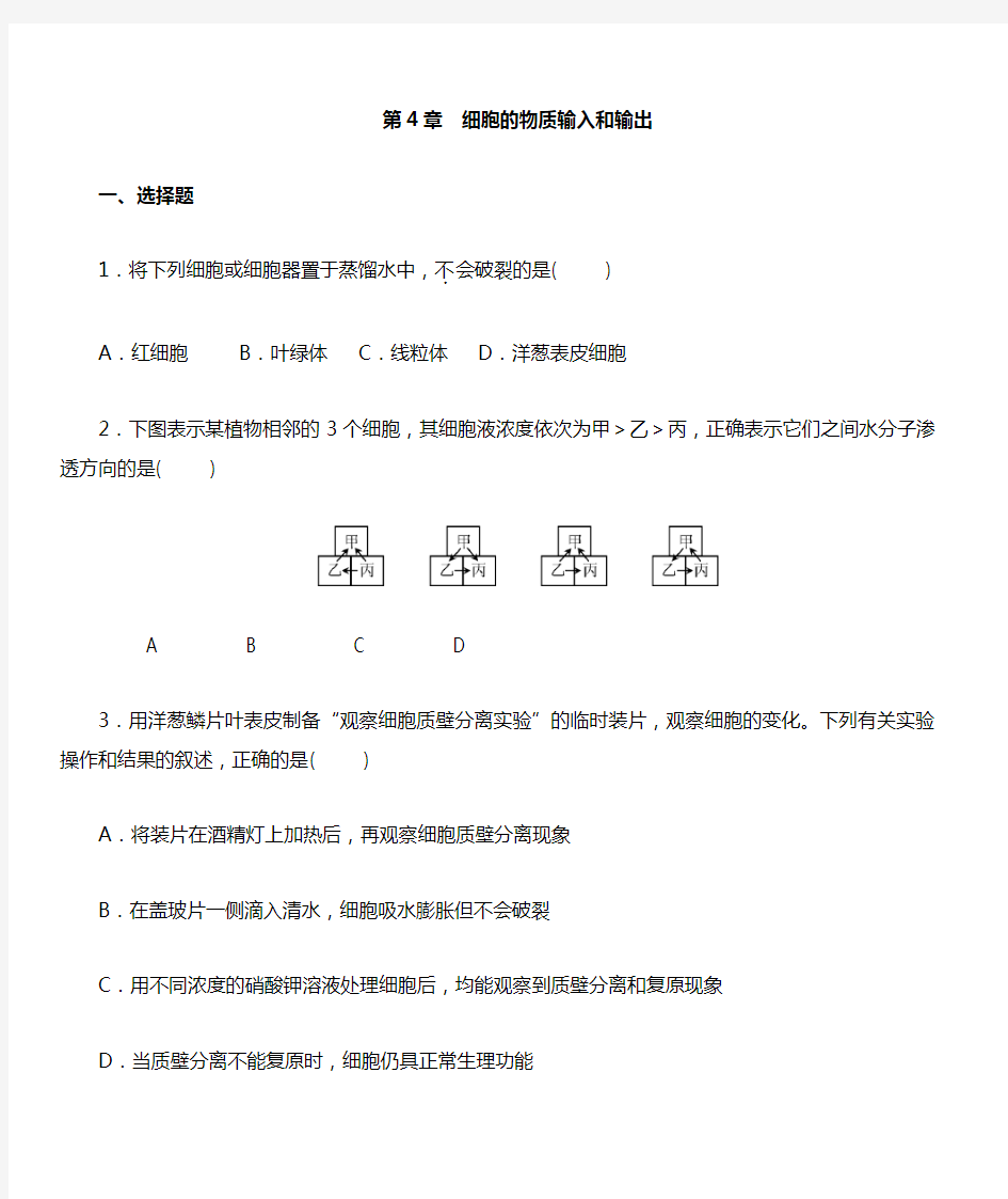 高中生物必修一第四章练习及答案