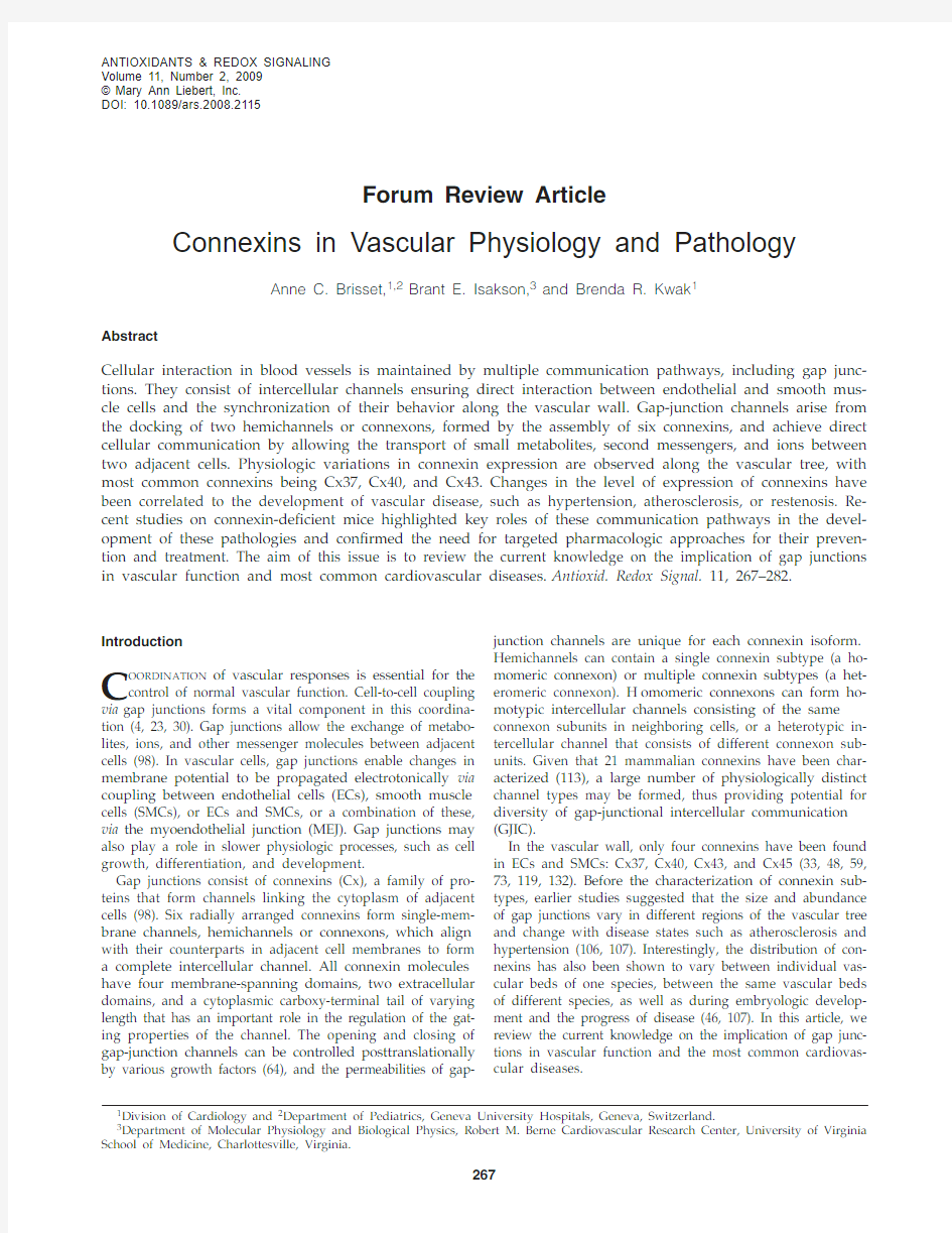 Connexins in Vascular Physiology and Pathology