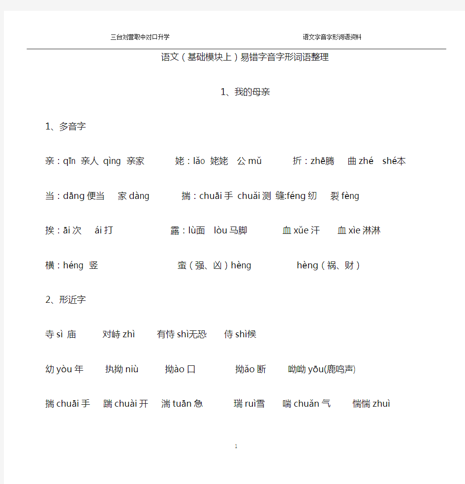 对口高考易错字音字形整理上册