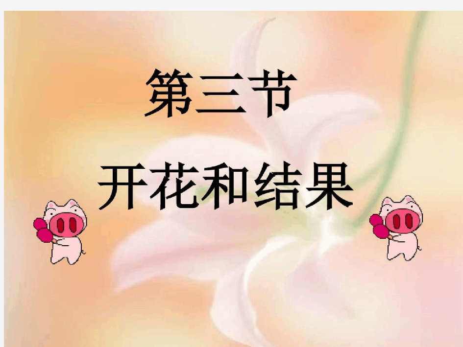 人教版七年级上册《开花和结果》