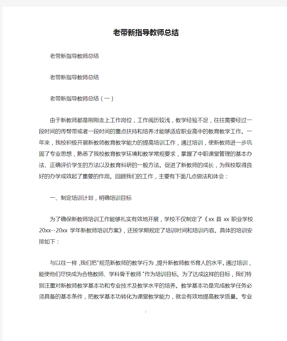 老带新指导教师总结