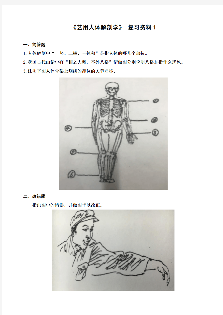 艺用人体解剖学