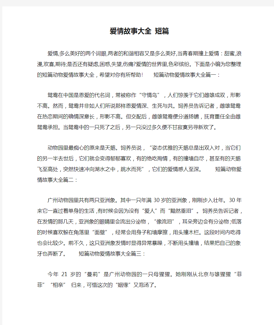 爱情故事大全 短篇