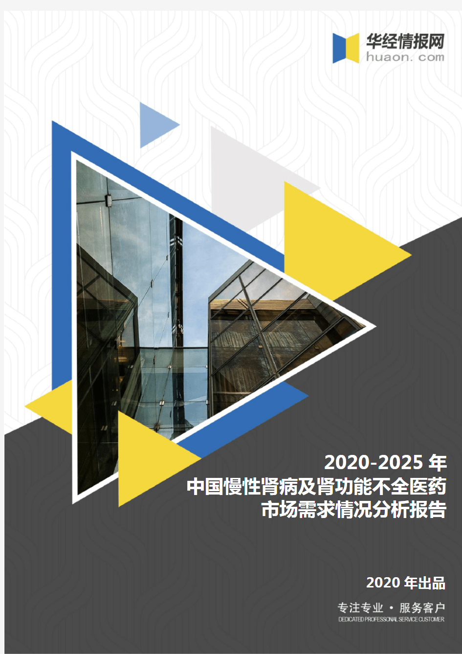 2020-2025年中国慢性肾病及肾功能不全医药市场需求情况分析报告